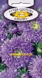 roltico-aster-chinski-ksiazecy-fioletowy-1g