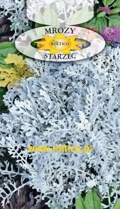 roltico-starzec-mrozy-0-2-g