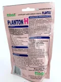 planton-h-200g-hortensja-stan-nowy