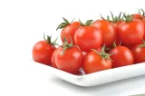 planton-p-200g-do-pomidorow-forma-proszek