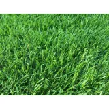 nawoz-dolomit-proszek-25-kg-stan-nowy