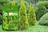 nawoz-do-tui-5-kg-siarkopol-stan-nowy