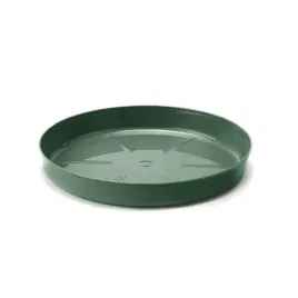 podstawka-nr-7-awokado