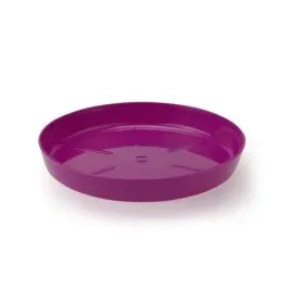 podstawka-nr-6-fuksja