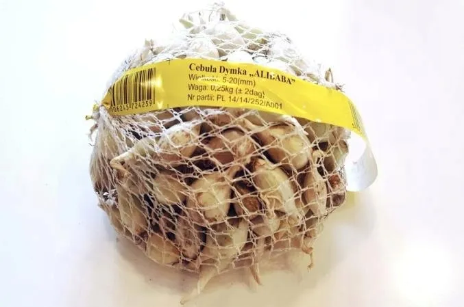 cebula-dymka-alibaba-025-kg-biala