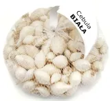 cebula-dymka-alibaba-025-kg-biala-kod-producenta-5906245724259