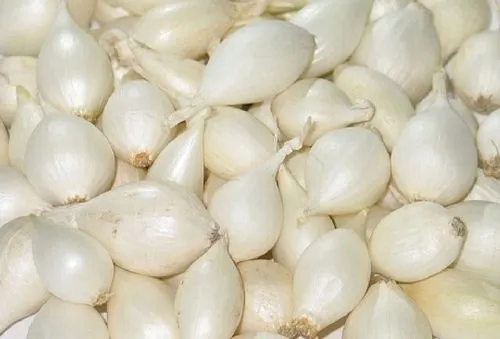 cebula-dymka-alibaba-025-kg-biala-waga-0-25-kg