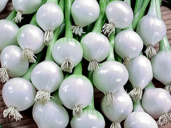 cebula-dymka-alibaba-025-kg-biala-region-pochodzenia-polska