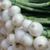 cebula-dymka-alibaba-025-kg-biala-opakowanie-inne