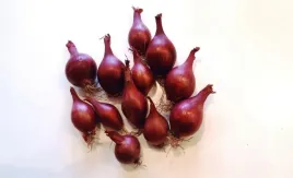 cebula-dymka-wenta-025-kg-czerwona