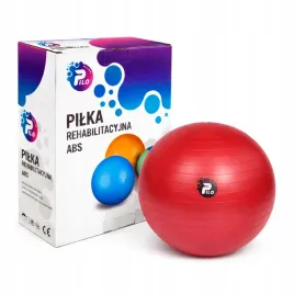 pilka-do-cwiczen-i-rehabilitacji-system-abs-obciazenie-300kg-55cm-pompka