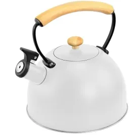 czajnik-ze-stali-nierdzewnej-stalowy-z-gwizdkiem-na-indukcje-gaz-bialy-25l