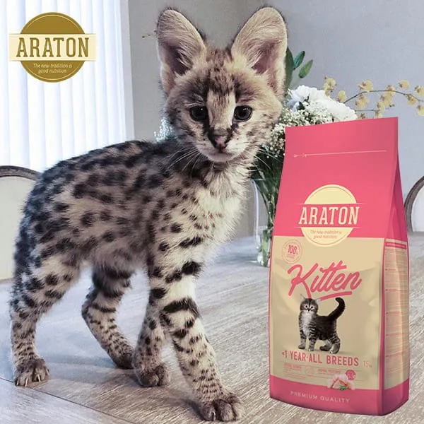 araton-kitten-poultry-15kg-cat-wiek-zwierzecia-brak-informacji