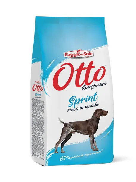 OTTO Sprint z wieprzowiną 20kg sucha karma dla psa