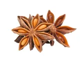 anyz-bioswena-200-g-certyfikat-brak