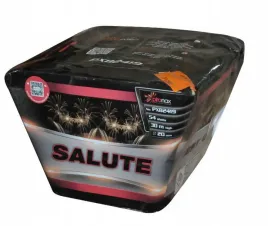 salute-54-strzalow-20mm-pxb2419