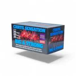 chrysanthemum-sensation-big-andstrong-49-strzalow-30mm-sl49-03di