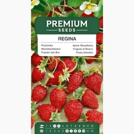 nasiona-poziomka-regina-odporna-na-mroz-owoce-ogrod-premium-seeds-02-g