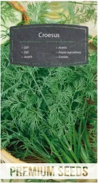 nasiona-koper-ogrodowy-croesus-odrasta-ogrod-uprawa-plony-premium-seeds-5-g
