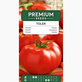 nasiona-pomidorow-tolek-do-gruntu-do-tuneli-szklarnia-premium-seeds-01-g
