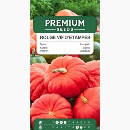 nasiona-dyni-rouge-vif-d-etampes-dynia-olbrzymia-ogrod-premium-seeds-3-g
