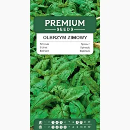 nasiona-szpinak-olbrzym-zimowy-odmiana-o-silnym-wzroscie-premium-seeds-10g