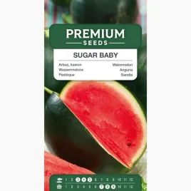 nasiona-arbuza-sugar-baby-kawon-owoce-do-tunelu-szklarnia-premium-seeds-1-g