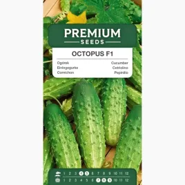 nasiona-ogorek-octopus-f1-gruntowe-do-tuneli-warzywa-premium-seeds-15-g