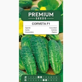 nasiona-ogorek-corveta-f1-do-gruntu-do-tuneli-warzywa-premium-seeds-3-g