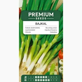 nasiona-cebula-siedimolatka-bajkal-wieloletnia-wczesna-premium-seeds-2-g