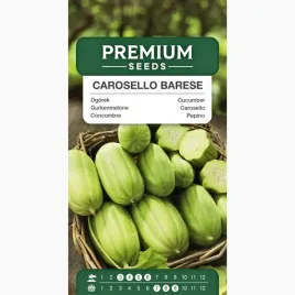nasiona-ogorek-melonowy-carosello-barese-warzywa-uprawa-premium-seeds-1-g