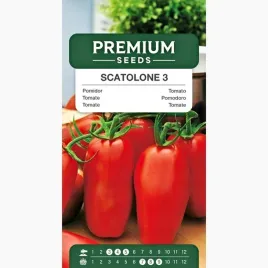 nasiona-pomidorow-scatolone-3-do-gruntu-do-tuneli-plony-premium-seeds-05-g