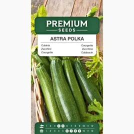 nasiona-cukinia-astra-polka-odmiana-plenna-bardzo-wczesna-premium-seeds-3g