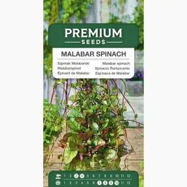 nasiona-szpinak-malabarski-roslina-jadalna-i-ozdobna-premium-seeds-05g
