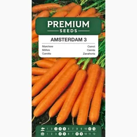 nasiona-marchew-amsterdam-3-do-gruntu-do-tuneli-warzywa-premium-seeds-5-g