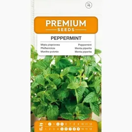 nasiona-mieta-pieprzowa-peppermint-przyprawy-doniczka-premium-seeds-01-g