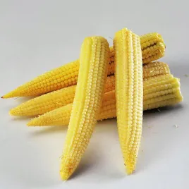 kukurydza-cukrowa-minigold-nasiona-kukurydzy-smaczna-zdrowa-soczysta