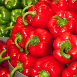 papryka-slodka-czerwona-ozarowska-nasiona-papryki