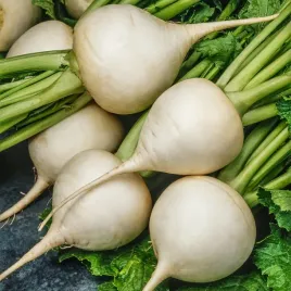 rzepa-jadalna-bola-de-nieve-nasiona-rzepy-nasiona-warzyw