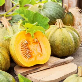 dynia-olbrzymia-olga-bezlupinowa-dynie-nasiona-dyni-plenna