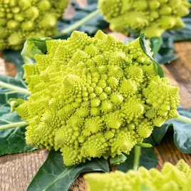 kalafior-romanesco-natalion-wiezyczkowa-ziel-roza-nasiona