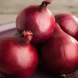 cebula-scarlet-czerwona-sredniopozna-bardzo-plenna-nasiona-warzyw-cebuli