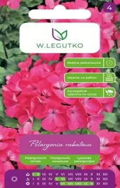 pelargonia-rabatowa-gama-f1-rozowa-nasiona-kwiatow-pelargoni-rozowe-kwiaty