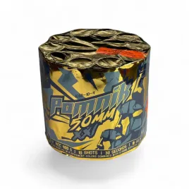 pomnik-2-10-strzalow-50mm-ic50104