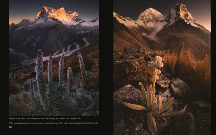 gory-typ-mebla-inny-wysokosc-produktu-3-cm