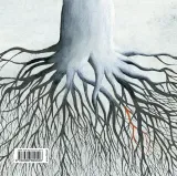 jak-drzewo-stan-nowy