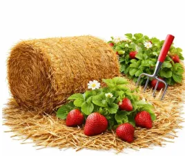 sloma-sciolka-do-ogrodu-pod-warzywa-krzewy-owoce-rosliny-pomidory-5kg