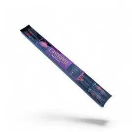 cassiopeia-4-rakiety-n3501