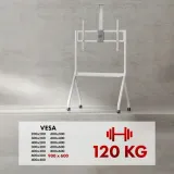 maclean-stand-wozek-do-tv-mc-114-w-marka-maclean-kod-producenta-5902211139942