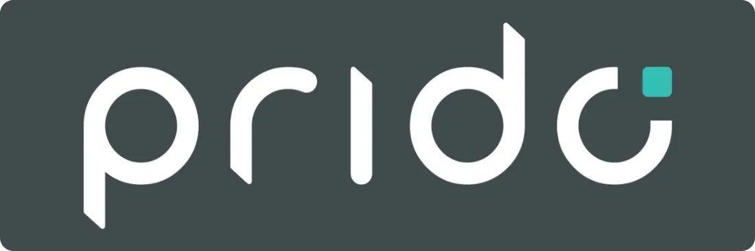 wideorejestrator-prido-easy-2k-model-prido-easy-2k